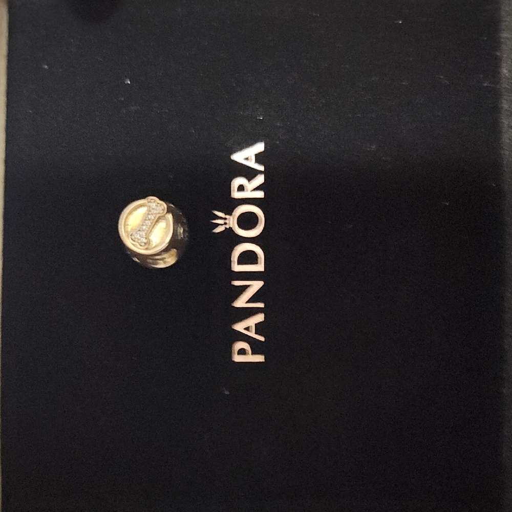 Pandora Silver Charm